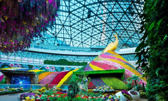 贝斯特 - 全球最奢华的游戏平台