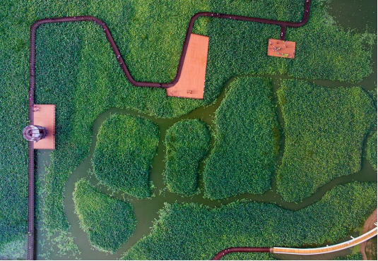 贝斯特 - 全球最奢华的游戏平台