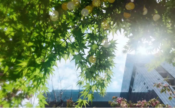 贝斯特 - 全球最奢华的游戏平台