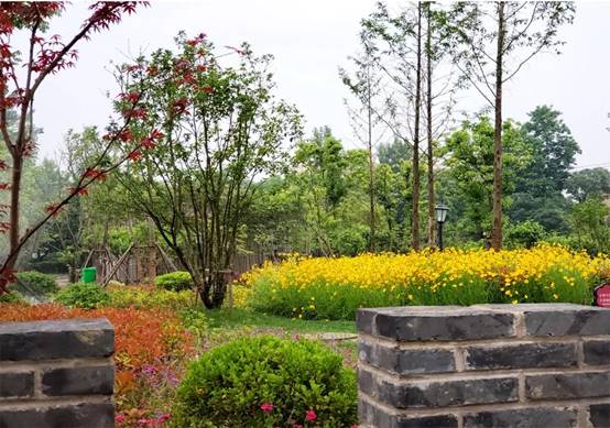 贝斯特 - 全球最奢华的游戏平台