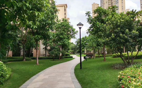 ca88实力再获肯定，喜摘“两金”