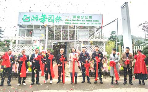 ca88湖南分公司盛大开业，征战华中市场