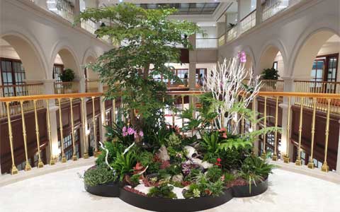 点赞！ca88再获华为、前？毓伞⒖崭壑行耐...