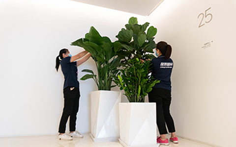 ca88ʺϰڷŰ칫ҵɫֲ