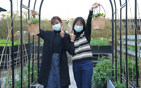 ca88：可私人订制的都会农场来了