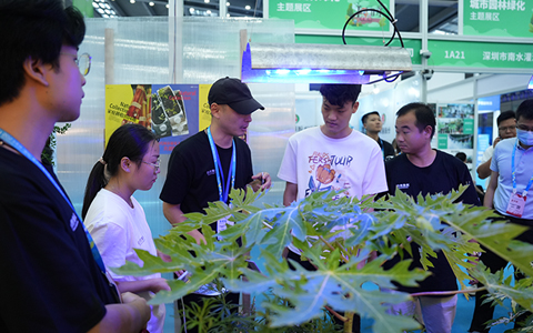 陶醉式体验ca88“自然集叙”展会现。