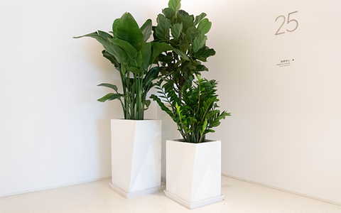 ̻ôǮרάֲﻨ