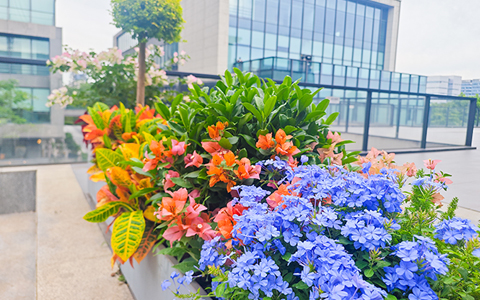 ca88ۿƼ԰조͡ҵռ